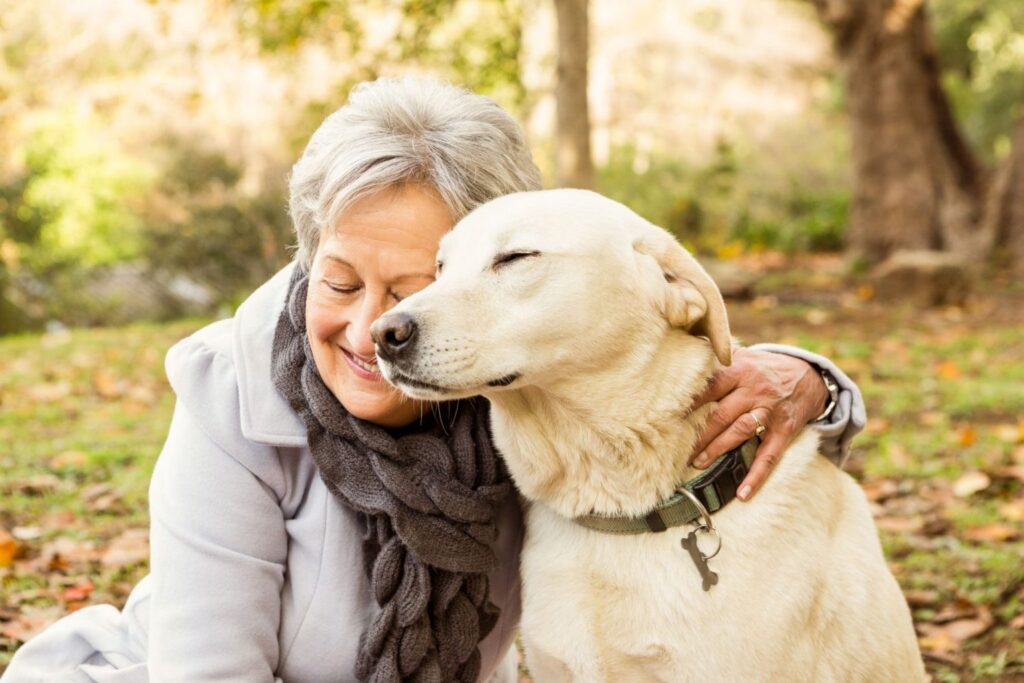 terapia cao - Descubra os maiores benefícios da terapia com cachorros para idosos